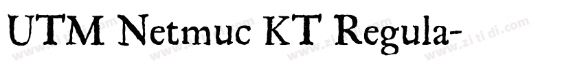 UTM Netmuc KT Regula字体转换